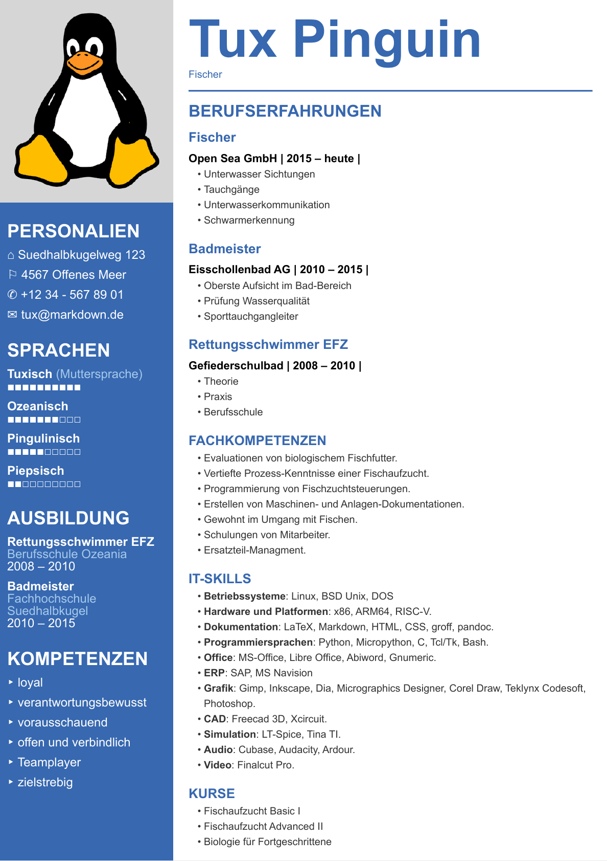 Screenshot PDF Lebenslauf